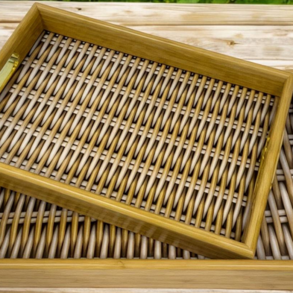 سینی جفتی روژین