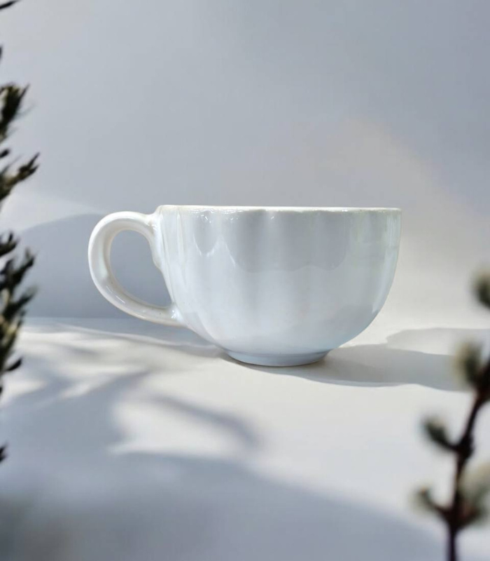 فنجان دالبری