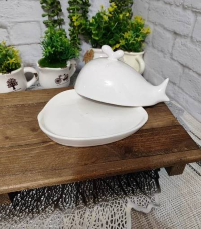 کره خوری دلفین سفید