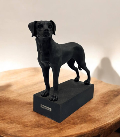 فیگور سگ Ridgeback