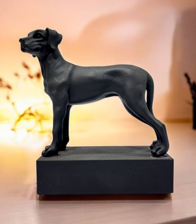 فیگور سگ Ridgeback