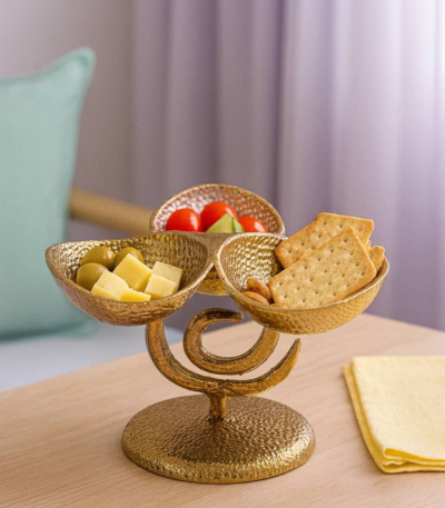 چکشی رجینا اردو