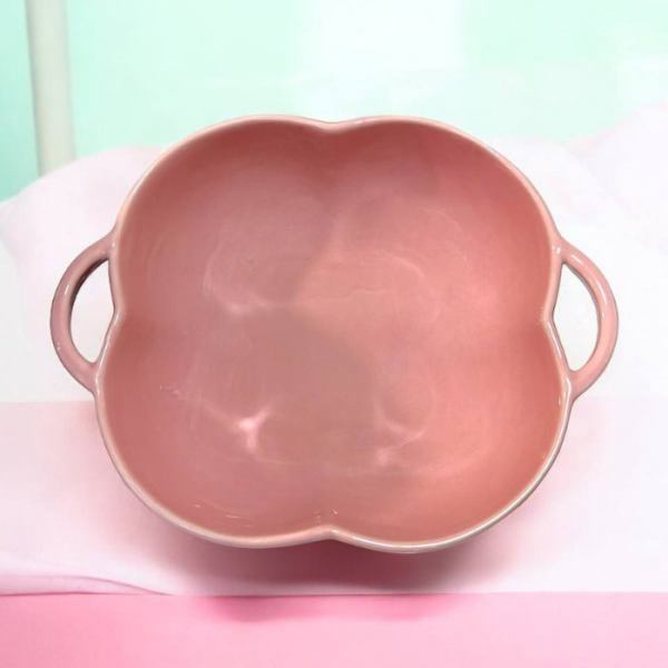 کاسه سالاد ۲ دسته