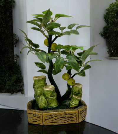 درختچه میوه