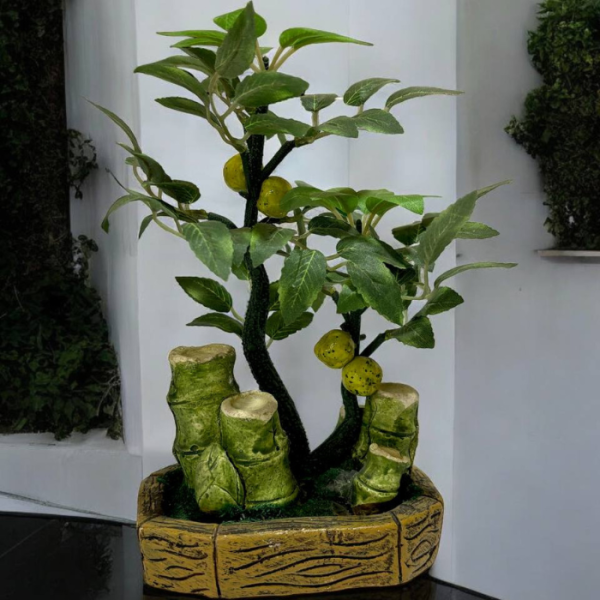 درختچه میوه