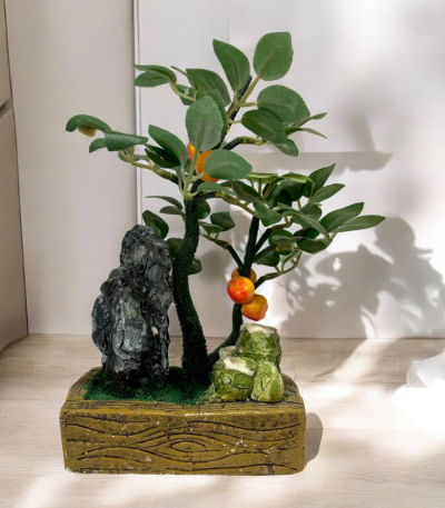 درختچه میوه